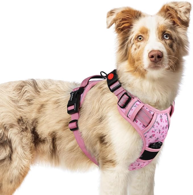 rabbitgoo Dog Harness Medium Sized, No Pull Pet Harness by rabbitgoo
