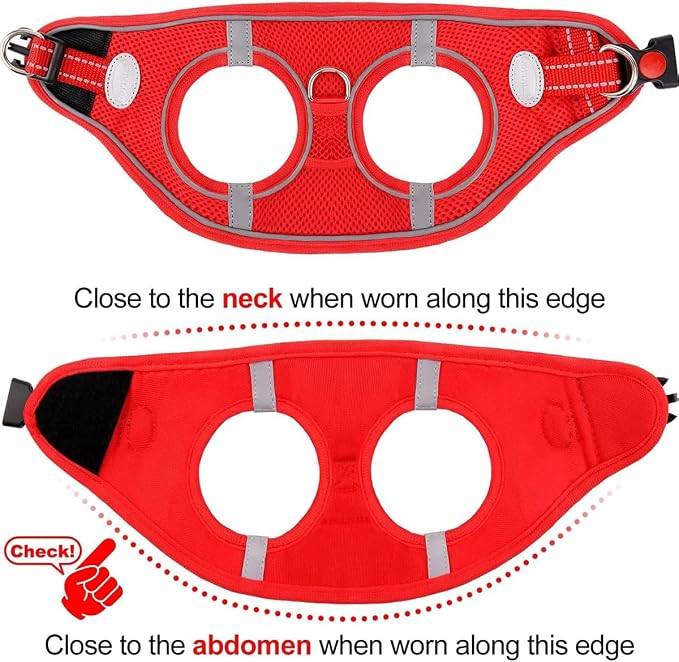 Joytale Small Dog Harness, Breathable Mesh Step-in Vest, Reflective Soft Padded - Image 6