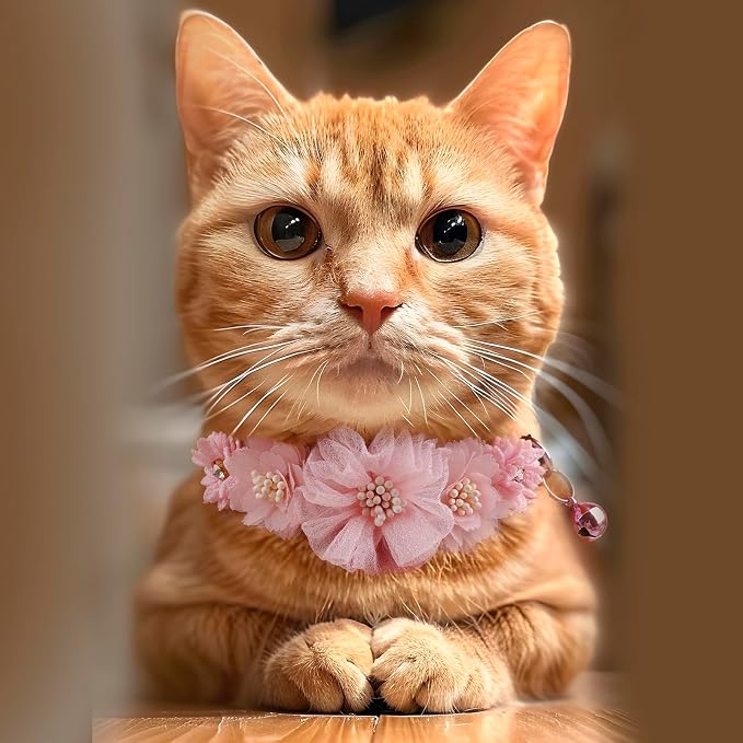 2 Pack Cat Collar Pink Floral - Image 6