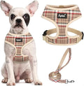 PUPTECK Soft Mesh Dog Harness and Leash Set Pet Puppy Cat Comfort Padded Vest by PUPTECK