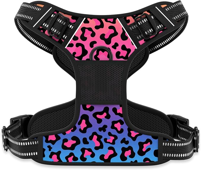 Rnivvi No Pull Dog Harness, Cute Leopard Reflective Small Sized Puppy Kitten by Rnivvi