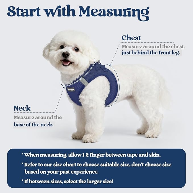 rabbitgoo Dog Harness Small Sized and Leash Set, Step in Soft Light Puppy Vest - Image 2