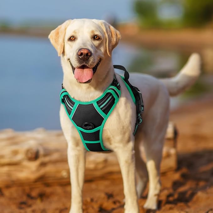 rabbitgoo Dog Harness No Pull - Image 7
