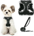 PUPTECK Dog Harness and Leash Set by PUPTECK