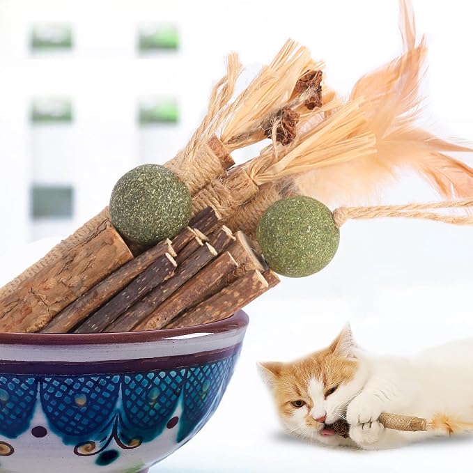 Kyouki Cat Toys Cat Chew Toys, Kitten Dental Care, Kitty - Image 4