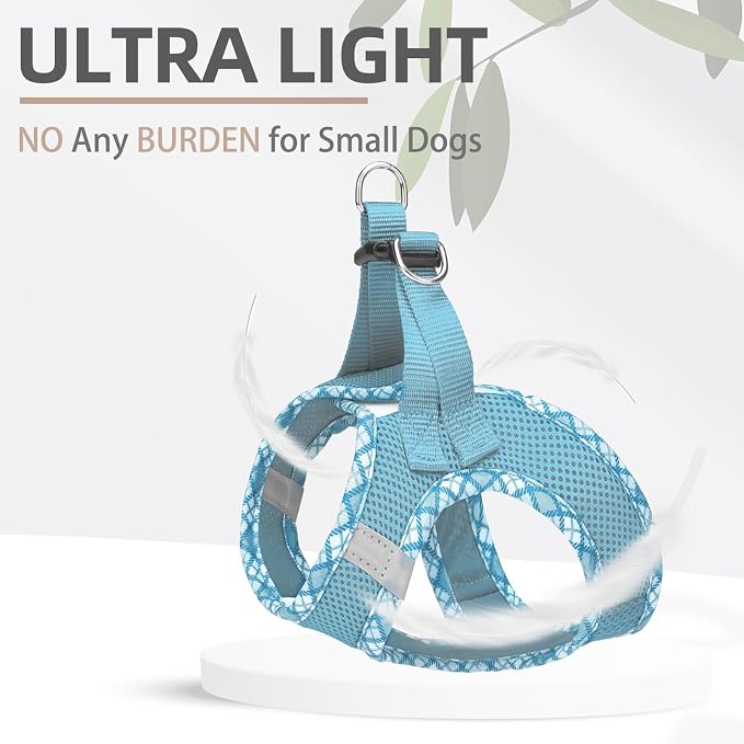 PUPTECK Dog Harness and Leash Set - Image 5