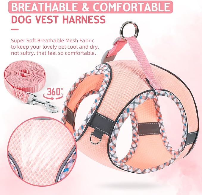 Cat Harness and Leash Set - Image 3