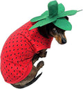 Pet Halloween Costume Dog Strawberry Costume Role Play Clothes by Unknown
