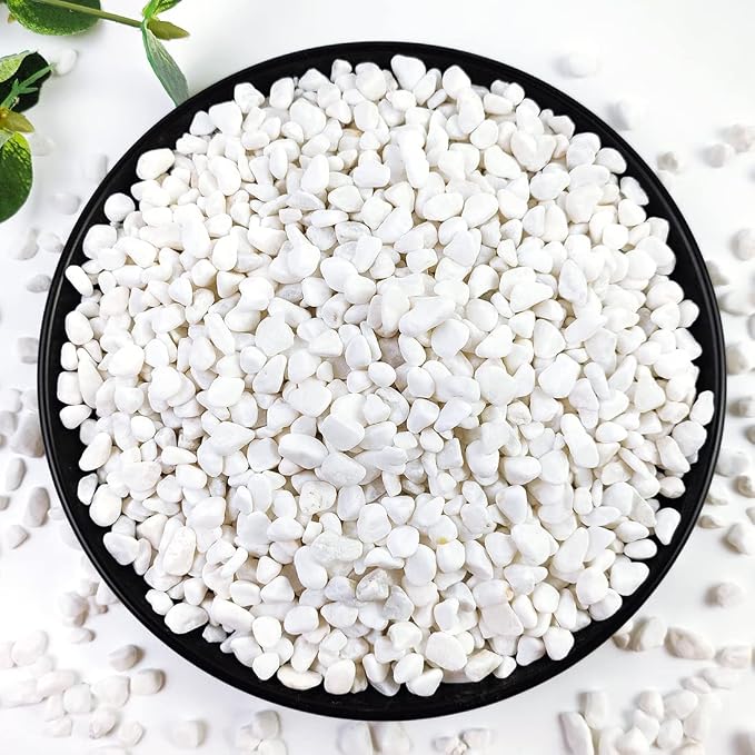 5LB Succulent and Cactus Gravel Pebbles, 1/5 Inch White Natural Decorative by YISZM-ForYourNaturalLife