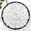 5LB Succulent and Cactus Gravel Pebbles, 1/5 Inch White Natural Decorative by YISZM-ForYourNaturalLife