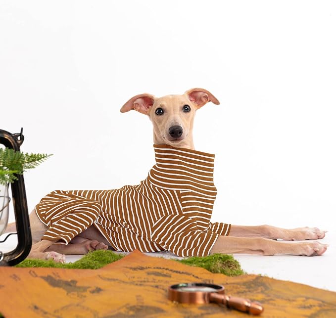 Dog Sweaters for Small Dogs Girls Boys, Striped Pet Sweaters for Fall Winter - Image 4