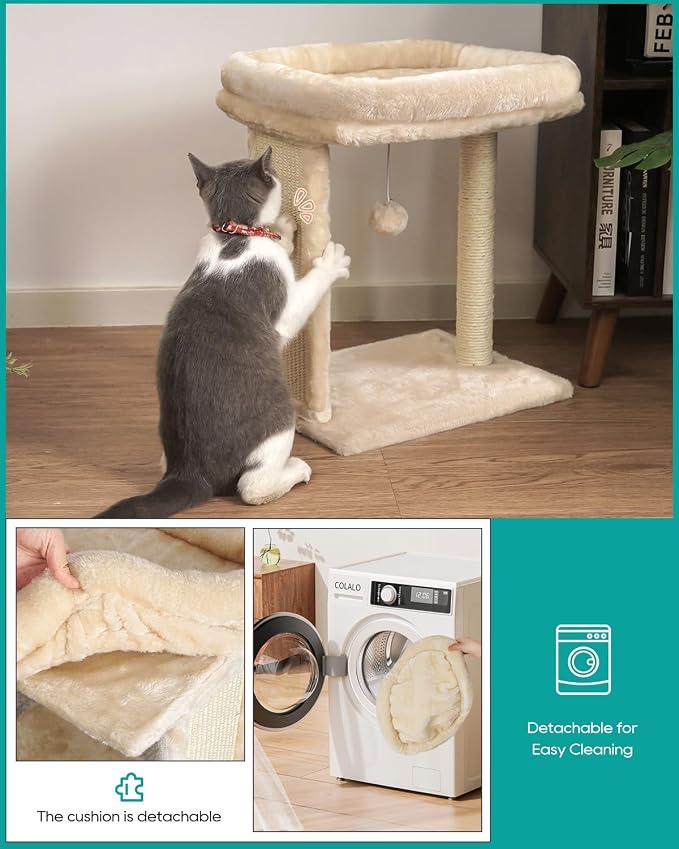 SYANDLVY Small Cat Tree for Indoor Cats, Scratching Board - Image 4