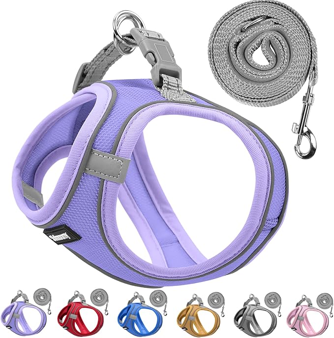 Solmoony Sparkly Medium Dog Harness and Leash Set, Step in Soft Light Puppy Vest by SOLMOONY