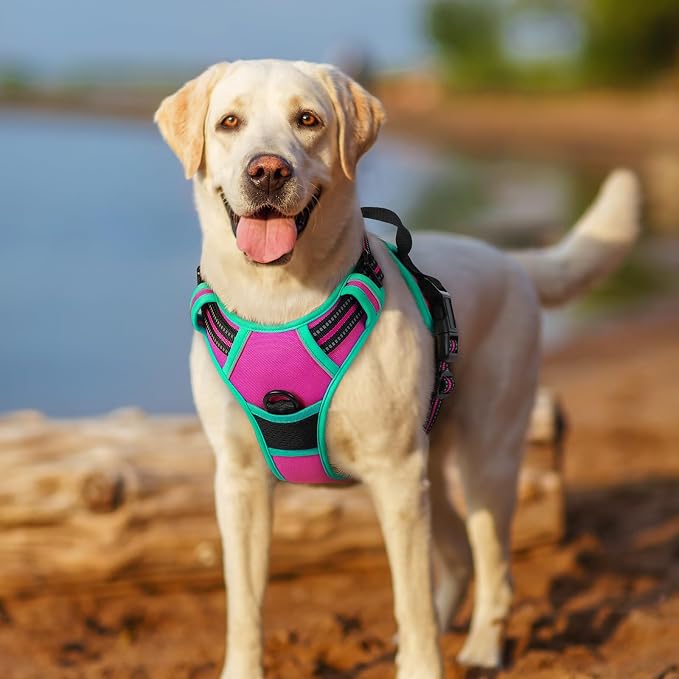 rabbitgoo Dog Harness No Pull - Image 7
