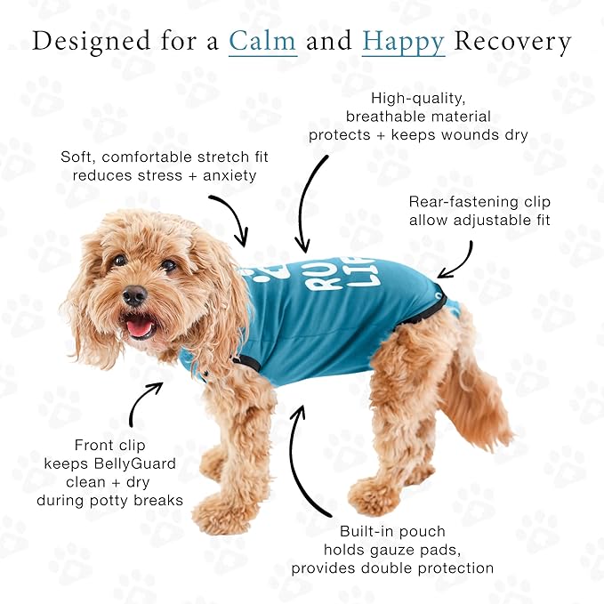 BellyGuard Dog Surgery Recovery Suit, Dog Onesie - Image 4