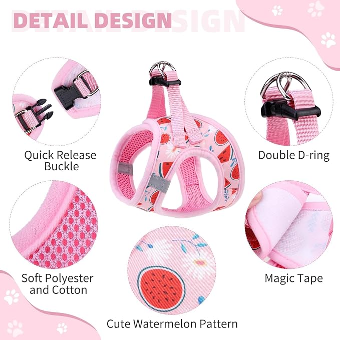KOOLTAIL Dog Harness and Leash Set - Image 2