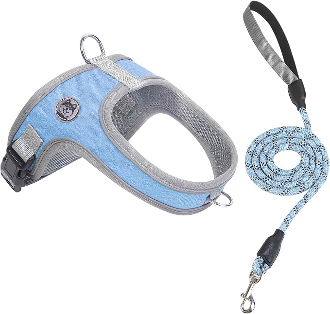 Dog Harness and Leash Set, No Pull Saddle Style Pet Harness, Breathable Mesh by Mengbeitribe