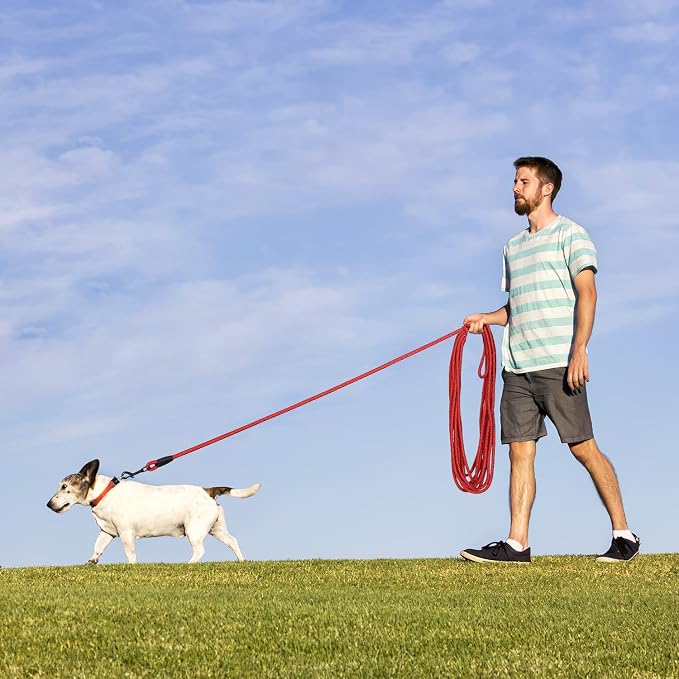 Long Dog Leash for Training 30Ft-Reflective Nylon Rope - Image 6