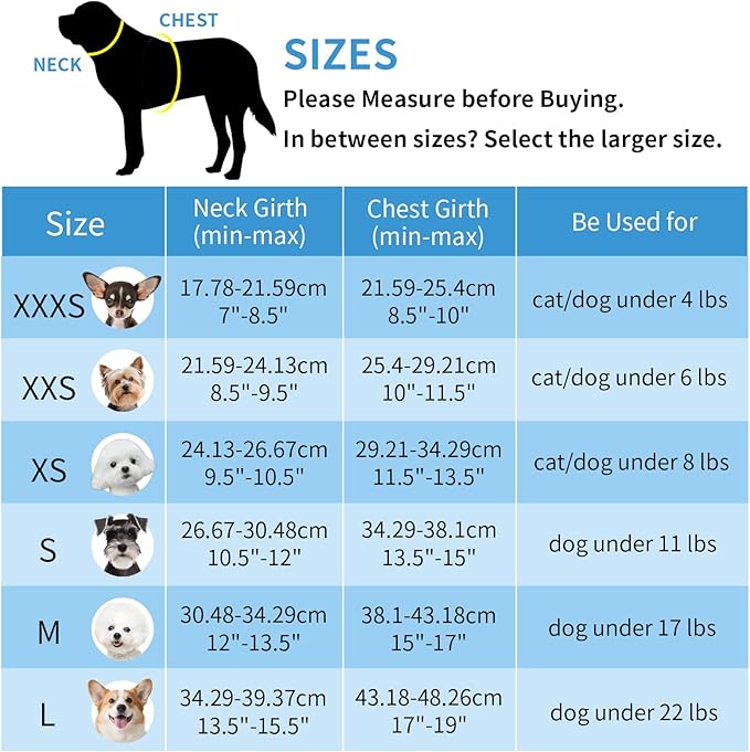 AIITLE Dog Harness and Leash Set - Image 6