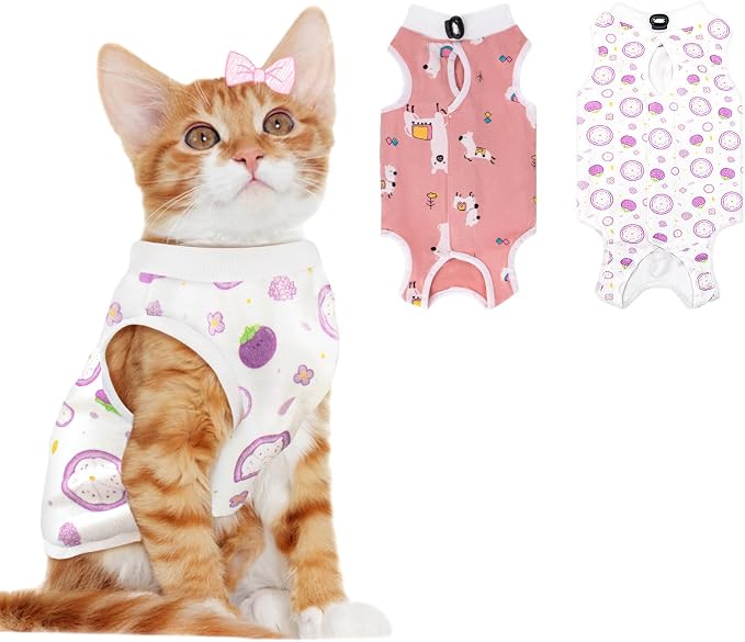 2 PCS Cat Recovery Suit Female Cat Onesie by Coppthinktu