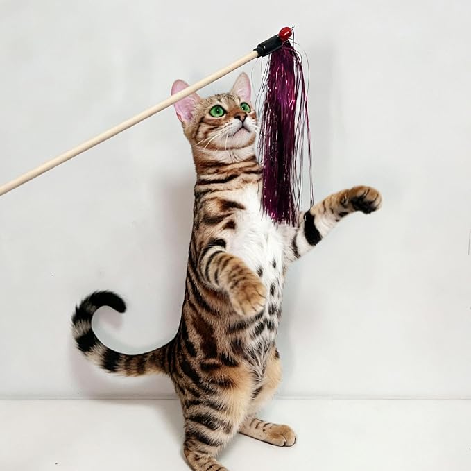 IUHKBH Tinsel Cat Wands 4 PCS Shiny Teaser Wands - Image 6