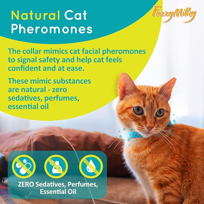 Calming Collar for Cats - Image 3