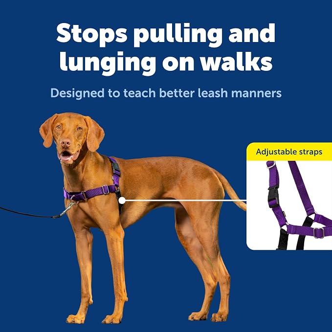 PetSafe Easy Walk Harness for Dogs - Image 4