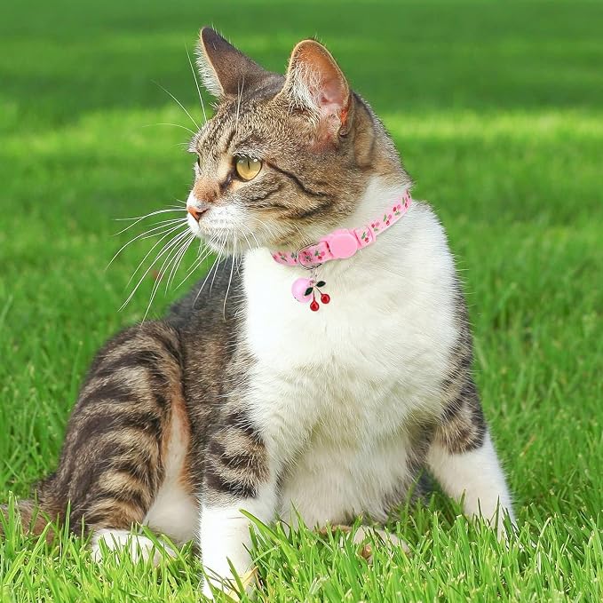 BINGPET Breakaway Cat Collar - Image 3