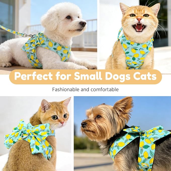 BAEJMJK Dog Harness and Leash Set - Image 7