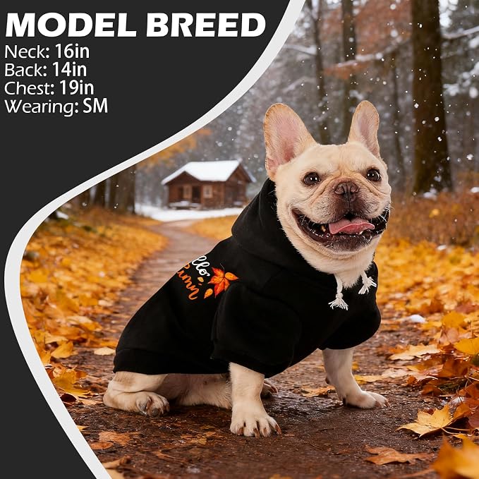 EXPAWLORER Fall Dog Hoodie-Soft and Warm Dog Sweaters, Pet Clothes Autumn - Image 7