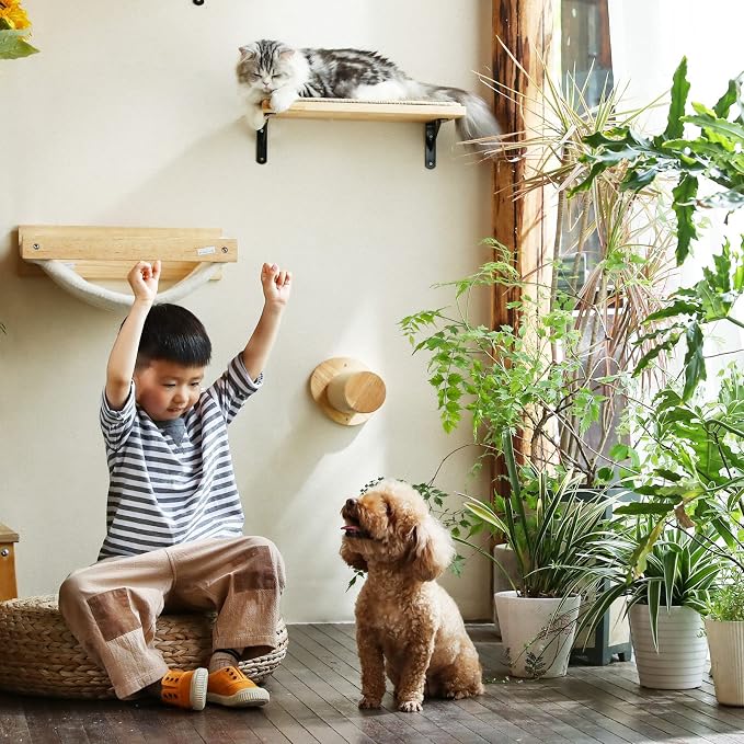 FUKUMARU Cat Wall Furniture, 11.8 Inch Cats Steps - Image 8