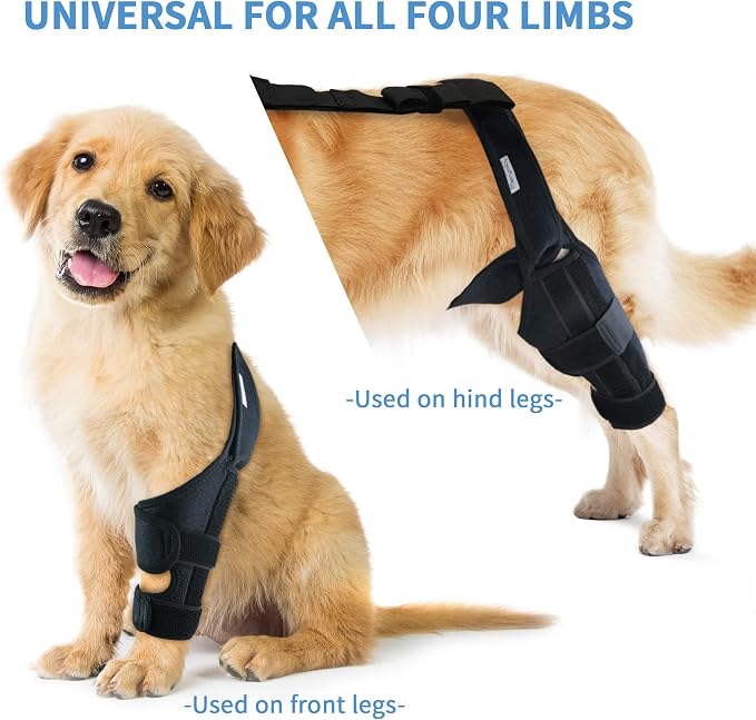 Dog Knee Brace for Torn ACL Hind Leg, Canine Leg Support for ACL/CCL & Cruciate - Image 8