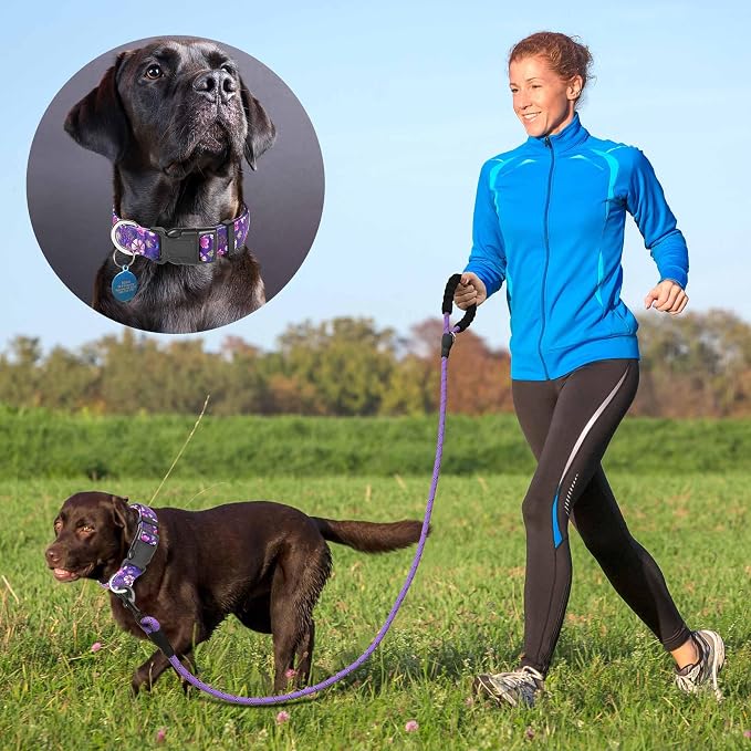 Reflective Dog Collar Padded - Image 4