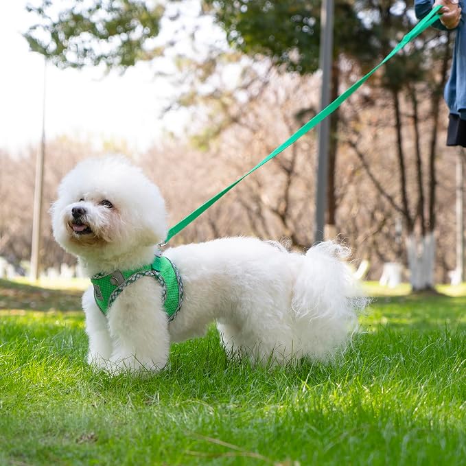 Dog Harness and Leash Set, No Pull Pet Harness - Image 7