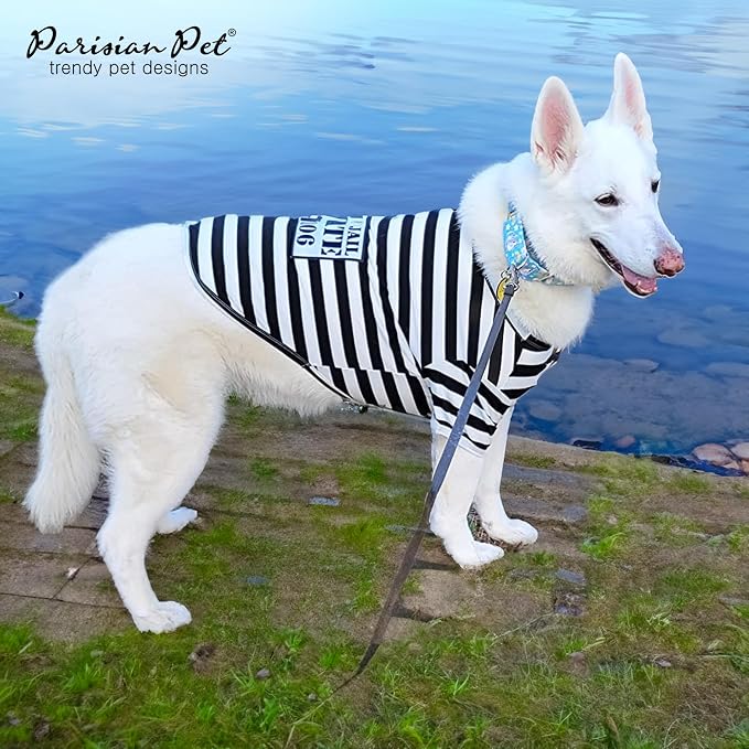 Parisian Pet Prisoner Dog Costume - Image 4