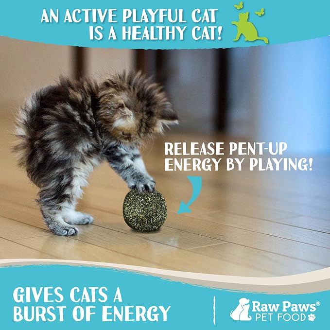 Raw Paws Catnip Balls for Cats, - Image 5