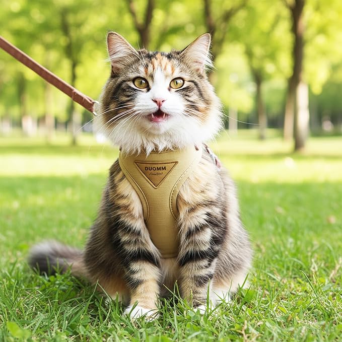 Escape-Proof Cat Harness and Leash Set - Image 7