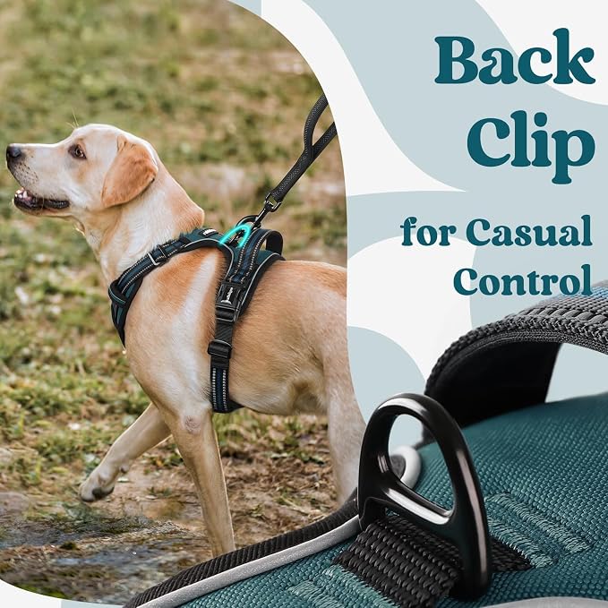 rabbitgoo Dog Harness for Large, No Pull Pet Harness - Image 5