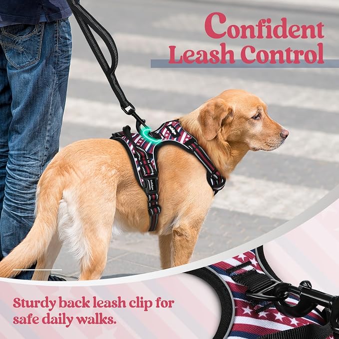 rabbitgoo Dog Harness No Pull - Image 6