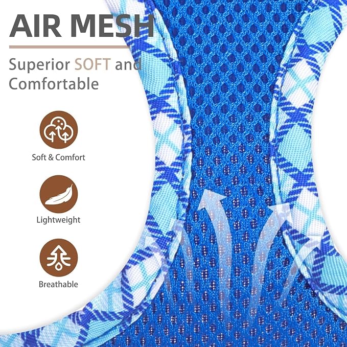 PUPTECK Dog Harness and Leash Set - Image 2