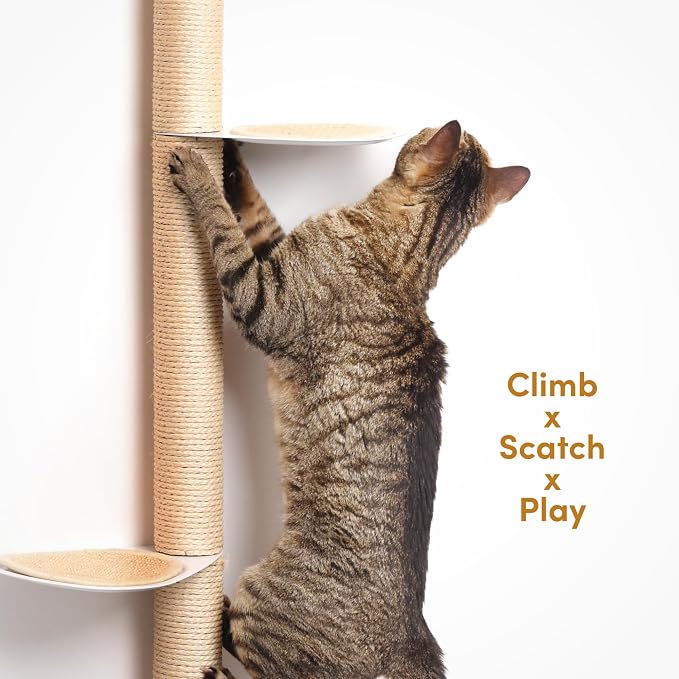 34" Wall-Mounted Cat Tree – Modern Space-Saving Cat Shelf - Image 5
