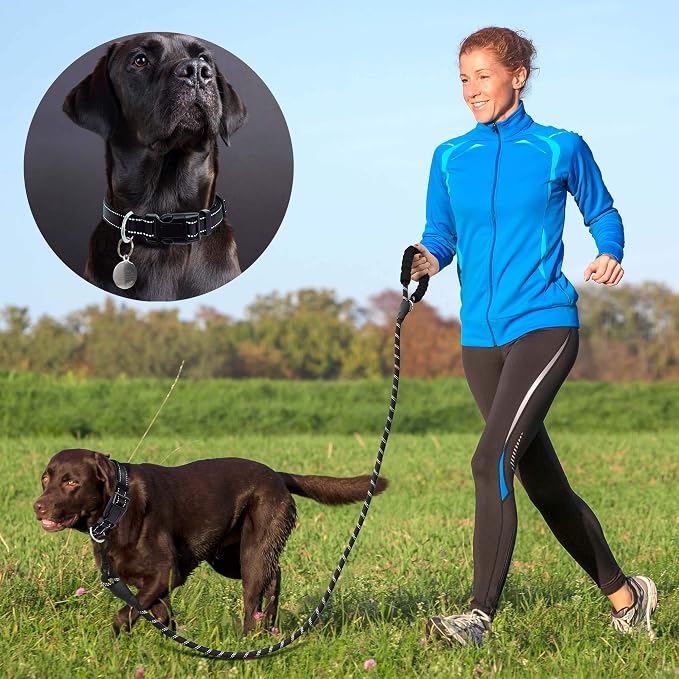 Reflective Dog Collar Padded - Image 4