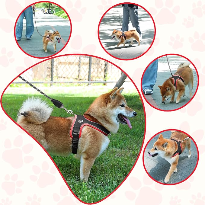 Dog Harness and Leash Set, No Pull Saddle Style Pet Harness, Breathable Mesh - Image 6