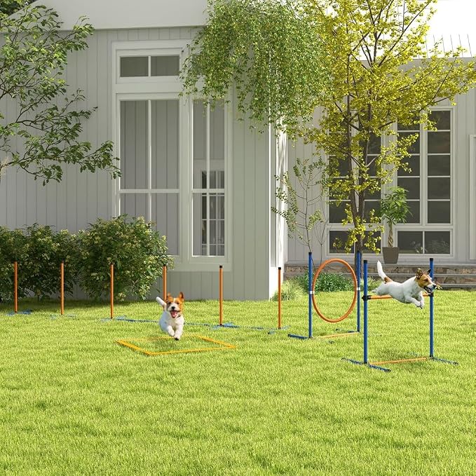4 Pieces Dog Agility Training Equipment by anwickjeff