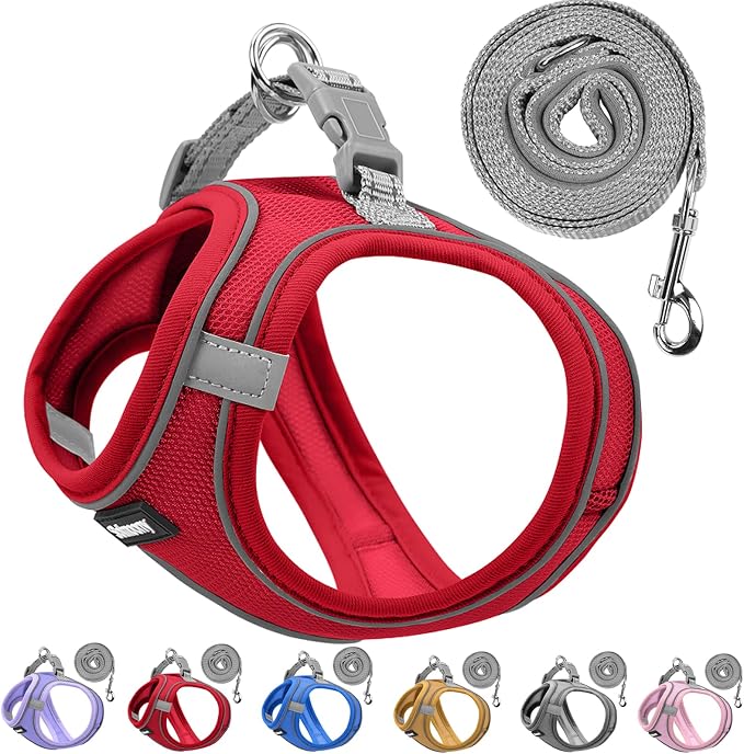 Solmoony Sparkly XS Dog Harness and Leash Set, Step in Soft Light Puppy Vest by SOLMOONY