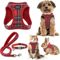 GAMUDA Small Dog Harness Collar and Leash Set, Step in No Chock No Pull Soft by GAMUDACollarsCollection