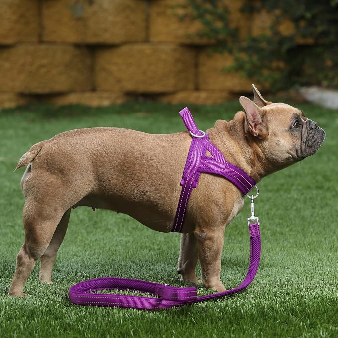 Plutus Pet No Pull Dog Harness - Image 5