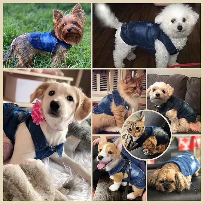 Cool Dog Jean Jacket Small Puppy Outfits Frenchie Clothes Denim Coats - Image 6