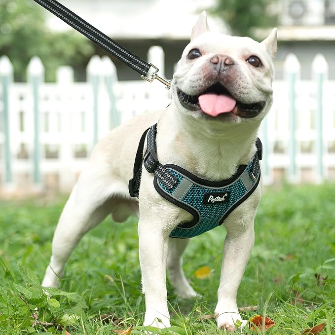 PUPTECK Dog Harness and Leash Set Small Sized, Step in No Pull Adjustable Puppy - Image 5