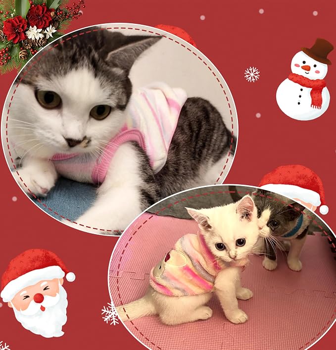 2 Pieces XXS Chihuahua Cute Small Dog Puppy Winter Extra Small Dachshund - Image 3